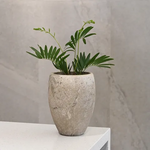 러스 롱팟 빈티지 도자기 단지 화분 토분 인테리어 화분 14호 +할인쿠폰