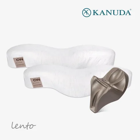 [가누다] 골드라벨 렌토 더블세트(베개2+머리냅)