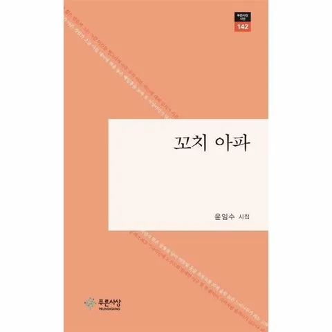 [웅진북센]꼬치 아파  푸른사상 시선 142