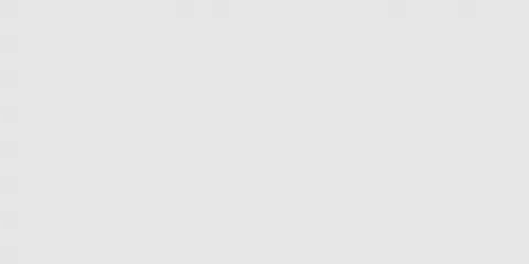 [보랄] 트윈 글라이드 BLDC 무선 진공 청소기