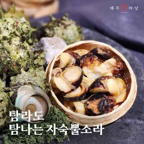 [제주家마당] 제주뿔소라찜살 100g x 6팩 +무이자3개월