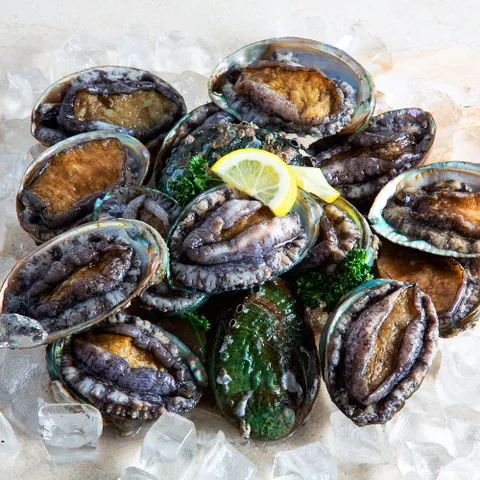 [산지직송]대왕특대 완도 활전복 1kg(6-7미) 산소포장