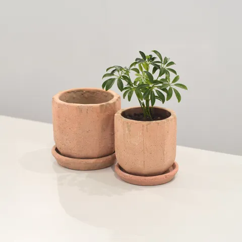 마이플랜트 허스팟 화분 13호 받침세트 빈티지 토분 인테리어 미니 화분 +할인쿠폰