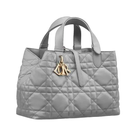 디올 Dior Toujours 미디엄 백 M2821OSNW_M62G +할인쿠폰