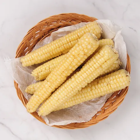 바로먹는 괴산대학 삶은(냉동) 찰옥수수 12개 (18cm내외)