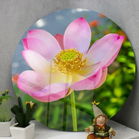 아트박스/꾸밈 ie083-원형아크릴액자_수려한연꽃