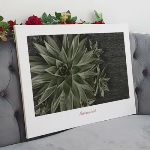 아트박스/꾸밈 bc055-캔버스액자72.7x53_보테니컬아트(워터코인과다육)