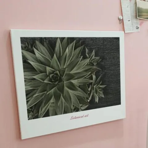 아트박스/꾸밈 bc056-캔버스액자53x45.5_보테니컬아트(워터코인과다육)