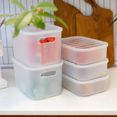 아트박스/보노하우스 국내생산 반투명 냉장고 수납정리함 XS (뚜껑형) 2P