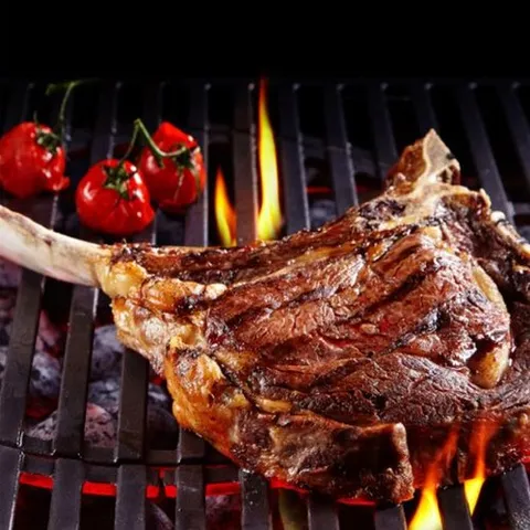 홈쇼핑단독-드라이에이징 5호(토마호크 스테이크700g)