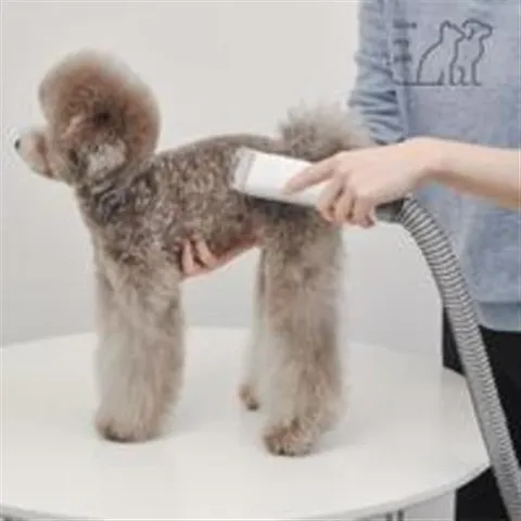 럽마이펫 강아지 애견 이발기 LMP-88 바리깡 사은품 미용날 먼지통 중택1