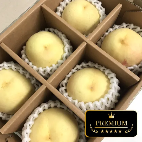 꿀달달 초희귀 설아복숭아 겨울복숭아, 1.2kg, 1개