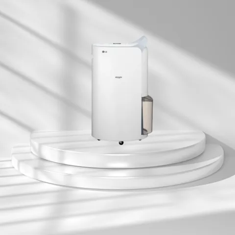 LG전자 휘센 20L 제습기 DQ202PBBC