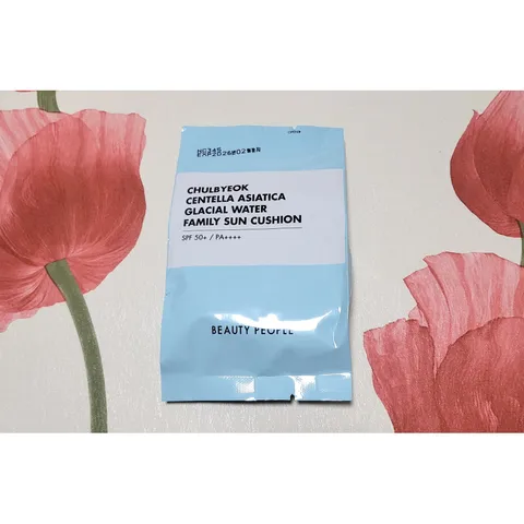 뷰티피플 철벽 병풀 빙하수 패밀리 선쿠션 25g 시즌3, 선쿠션 리필, 1개