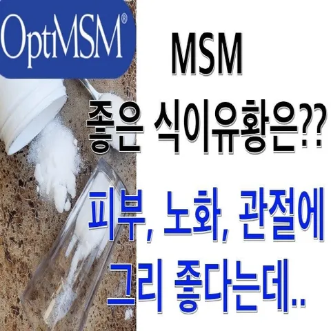 무릎 관절 연골 건강 경희 닥터 관통 MSM 식이유황 호관원 보궁, 4.2L, 1개