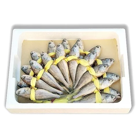 영광굴비 대장대굴비 (20마리) 법성포굴비 선물용굴비 참조기굴비 조기굴비, 장대굴비(특장대)2..., 1개