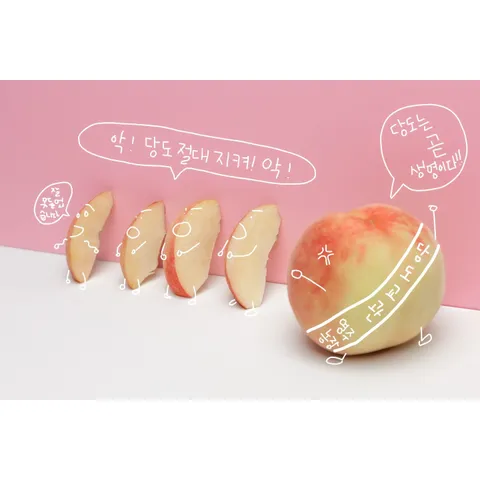 감곡햇사레 산지직송 부드러운백도 딱딱이3kg, [특과]8과 - 1..., 복숭아 실 중량3k..., 1개