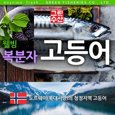 파랑마켓 복분자 고등어 청정 노르웨이 고등어, 복분자 고등어 3k..., 1개
