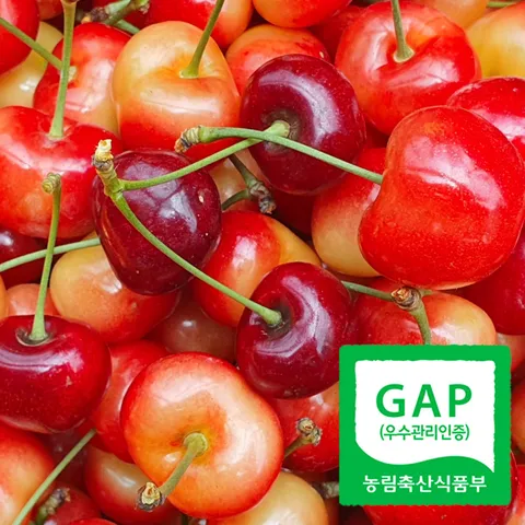 [당일수확발송] 국산체리 GAP품질보장 국내산체리 생체리 레이니어 타이탄, 400g, 2개