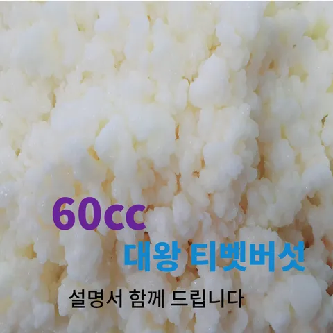 티벳버섯종균 유산균종균 수제요거트종균 발효유종균 캐비어종균, 60cc, 1개