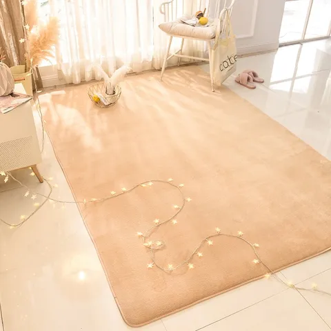 해외직구 사계절 거실 따뜻한 단모 러그 고급 점보 특대형 층간소음 바닥 무지 매트 카페트 러그 200 300 미끄럼방지, 200X250cm, 색상5