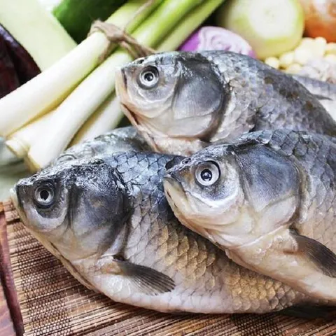 정옥 냉동 손질 붕어10kg(매운탕소스 포함), 1개