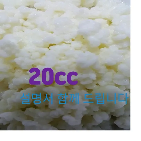 티벳버섯 종균 10cc 유산균 종균 프로바이오틱스 캐비어그레인 발효유 수제요거트