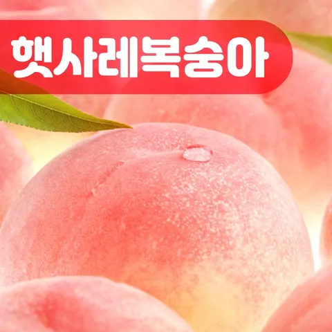 [아삭하고 달콤한] 햇사레복숭아 음성 감곡 장호원 백도 황도 부드러운 딱딱 복숭아 중과 대과 3kg 4kg, 3kg (11~12..., 1개