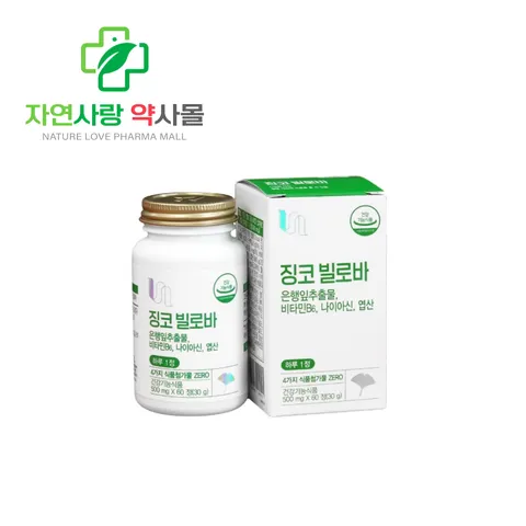 약국판매 징코 빌로바 혈행 기억력 개선 항산화 항염증 비타민하우스