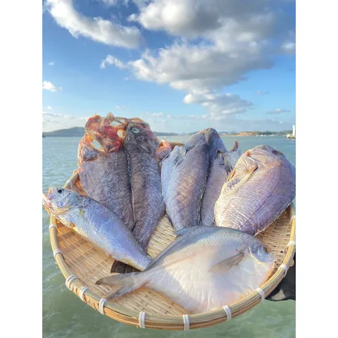 목포 반건조생선 민어새끼 조기 병어 통치 우럭 참돔 가정용 제수용, 특대, 4.반건조 자연산우..., 1개