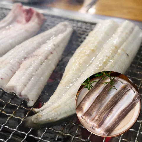 [통영직송] 통영 장어 바다장어 붕장어 대 특대 1kg 2kg 3kg 소스 증정, 1-1. [특대] ..., 1개