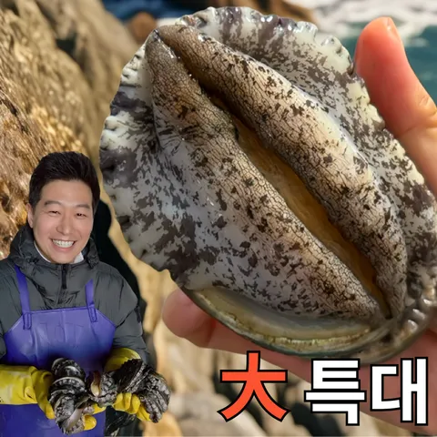 완도전복 왕특대 직거래 산지직송 산소포장 선물 세트, 1kg (특대 10..., 1박스