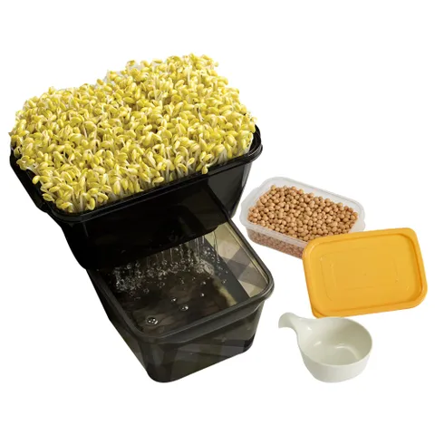 이지앤프리 콩 보관 시루컵 콩나물 재배 세트, 4세트, 5종