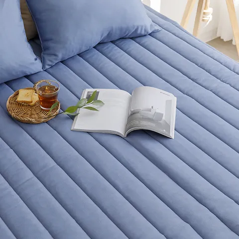 이니띠움 모노 풍기인견 카페트, 블루, 킹(160 x 21...