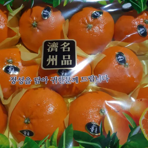 [명가]제주 황금향 레드향 천혜향 한라봉 비가림 하우스 감귤, 19.제주감귤 5k..., 1박스