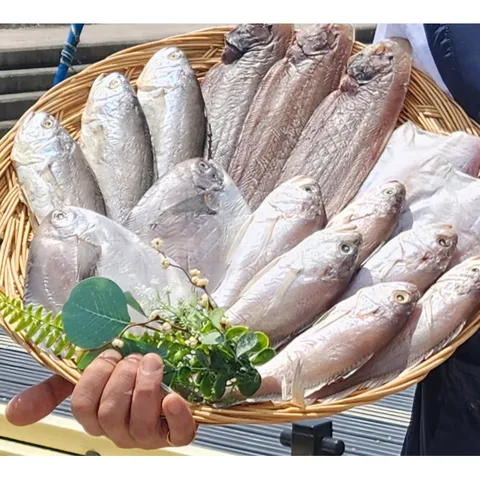 모듬생선구이 반건조생선 선물세트 자반용 가자미 침조기 서대 민어조기 긴가이석태 영상가이석태 병어 조림용생선모듬 생선3종세트 12미구성 A B세트 10미구성 C세트, 모듬세트B, 1세트