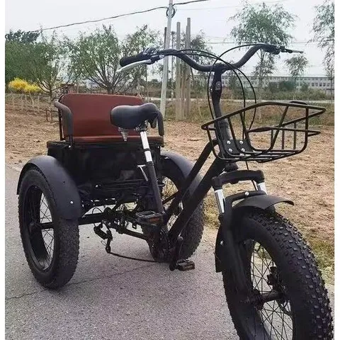 20 인치 성인용 세발자전거 삼륜자전거 광폭 성인 삼륜 자전거 야채 바구니, 20인치 7단 휴먼..., 스틸, 1개