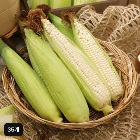 햇 강원도 찰옥수수 35개