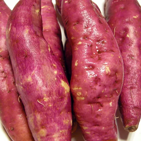 24년 지금수확중 팍팍한 리얼 햇밤고구마 옵션중량, 햇밤고구마5kg(특..., 1개