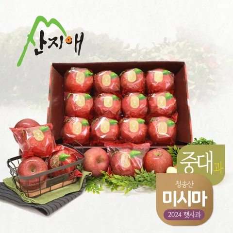 산지애 씻어나온 꿀사과 3kg 1box (중대과) 청송산 미시마 당도선별