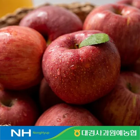 [군위]25년 경북세척사과(부사)4.5kg*1박스/개당170~300g/총15~27개