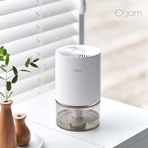 [에버홈] 365 제습기 1+1세트