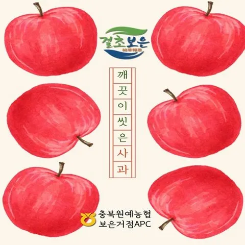 보은_2025 충북원예농협 세척부사 4.5kg*1박스/15~27개 /개당 170~300g