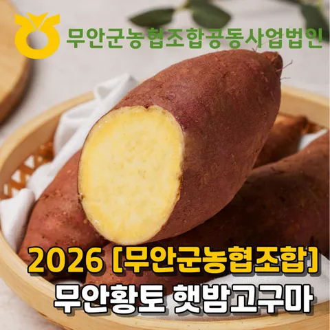 2026 [무안농협] 햇 무안황토 밤고구마 7kg