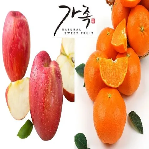 25 가족 과일 혼합세트 의성眞 세척사과(부사) 2kg+ 제주 레드향 2kg
