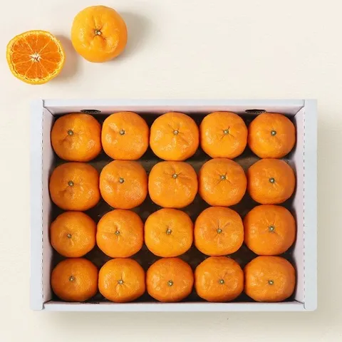 [올찬] 남진해 대과 3kg (13~24과 내외)