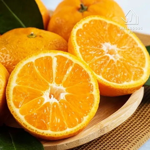 [웰굿] 산지직송 달콤한 제주 감귤 4.5kg(소과,2S-S)