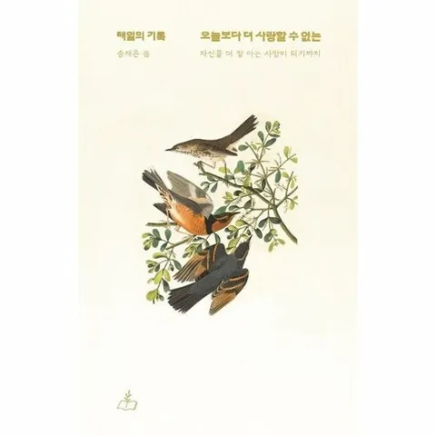 오늘보다 더 사랑할 수 없는 - 매일의 기록, 자신을 더 잘 아는 사람이 되기까지