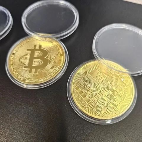 가상화폐 비트코인 골드 동전 주화 모형 (WFGPYIR)