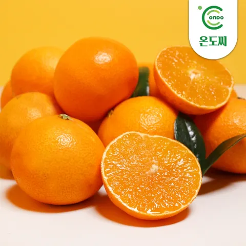 [온도씨]제주 고당도 황금향 4.5kg (소과/24-35과)